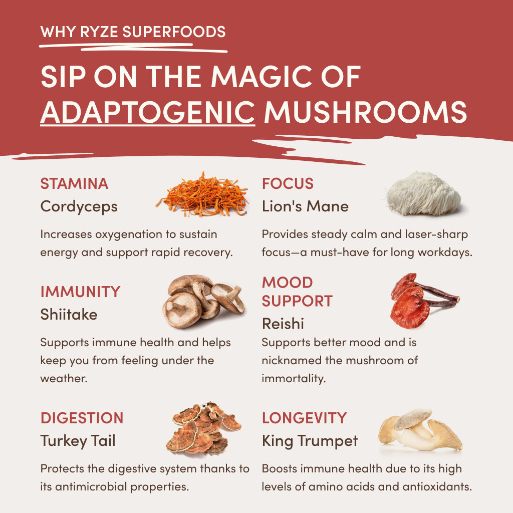 RYZE RYZE Mushroom Chai Starter Bag