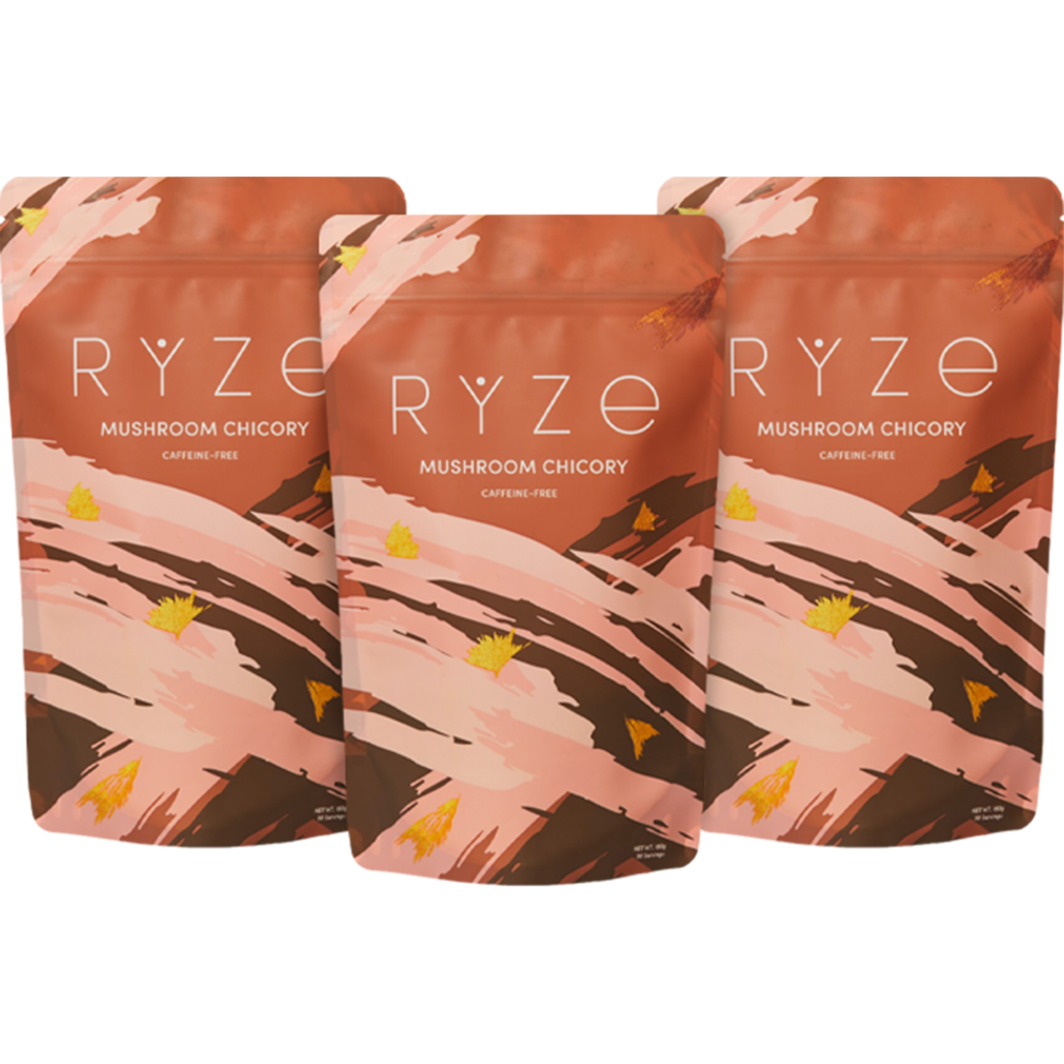RYZE Mushroom Chicory (3 Month Upgrade)