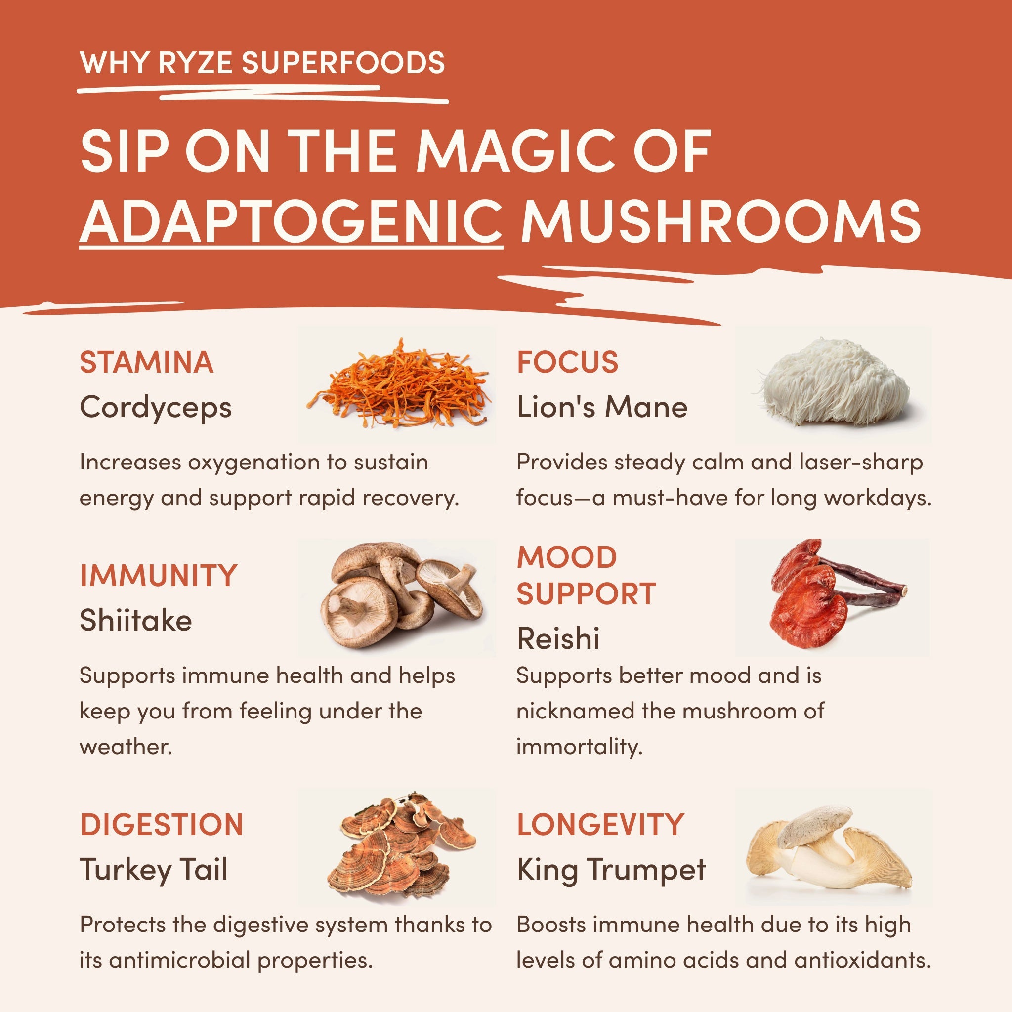 RYZE Superfood Creamer Add-on (SPECIAL PRICING)