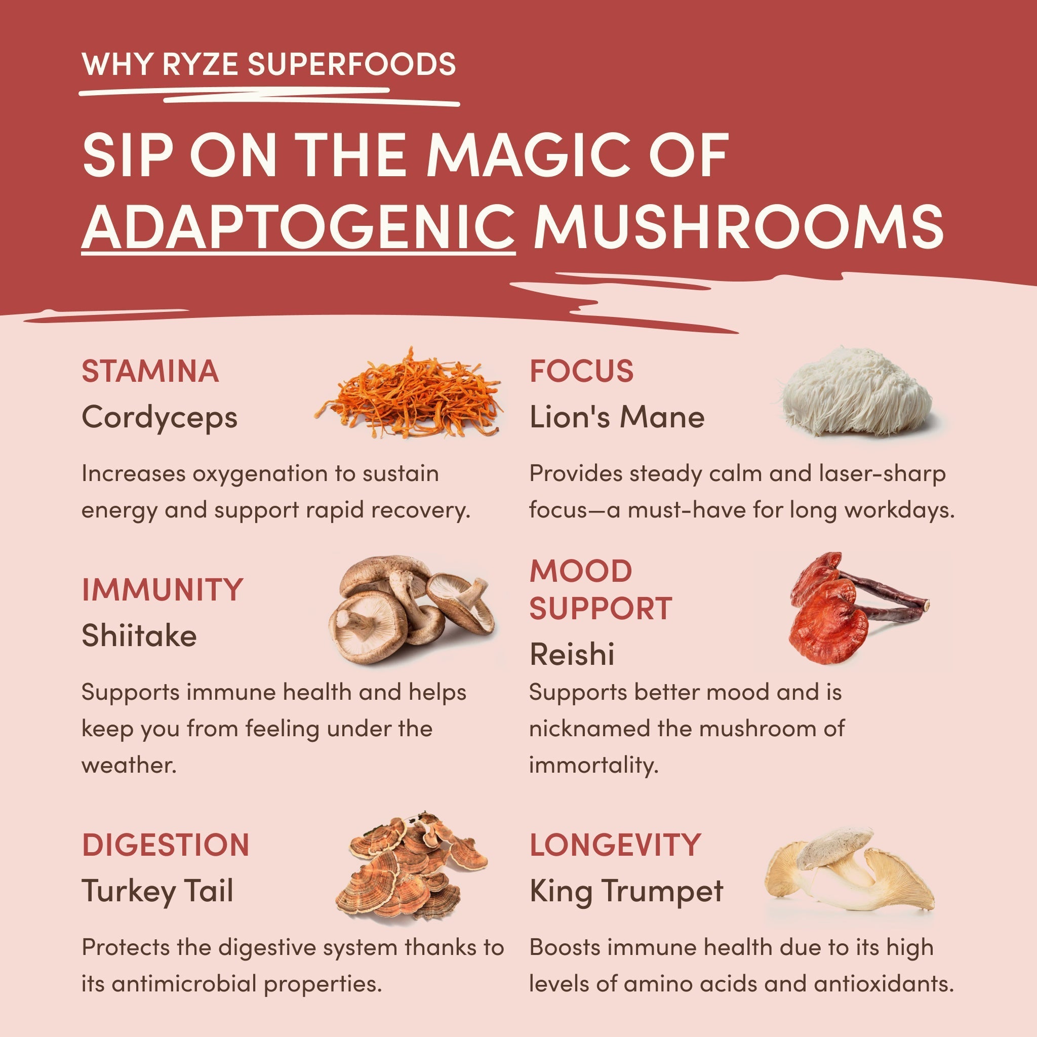 RYZE Mushroom Chai (1 Pack - 20 Servings)