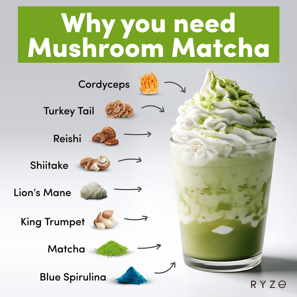 RYZE RYZE Organic Mushroom Matcha Starter Kit (60 servings)